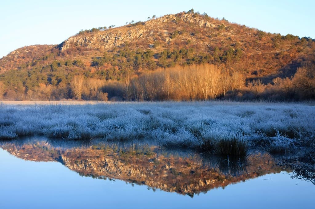Apicoltura Lombardo, foto 8