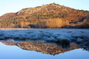 Apicoltura Lombardo, foto 8