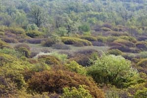 Apicoltura Lombardo, foto 22