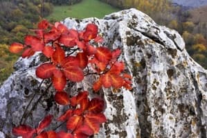 Apicoltura Lombardo, foto 37