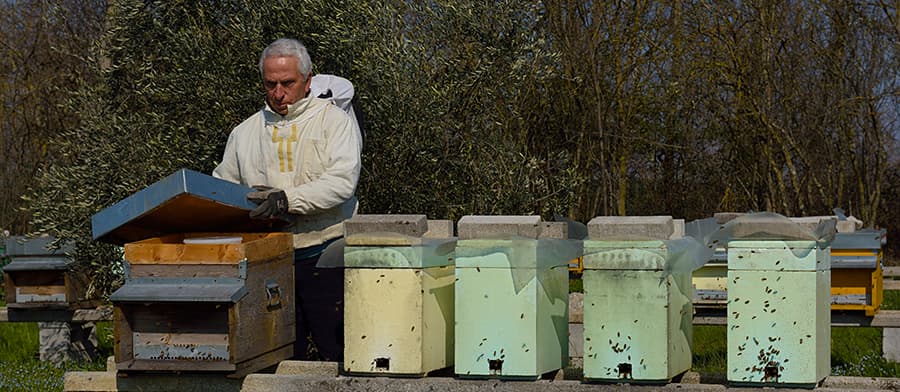 Foto: la passione